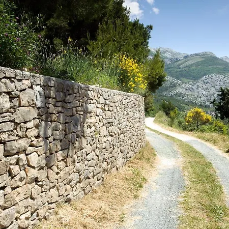 فيلة Don Dan Žrnovnica
